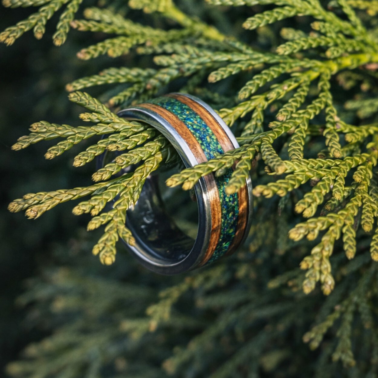 A JI Jewelry ring resting on a cedar branch: a titanium band with whiskey barrel wood inlaid around it and a channel of green opal running through the middle of the wood.