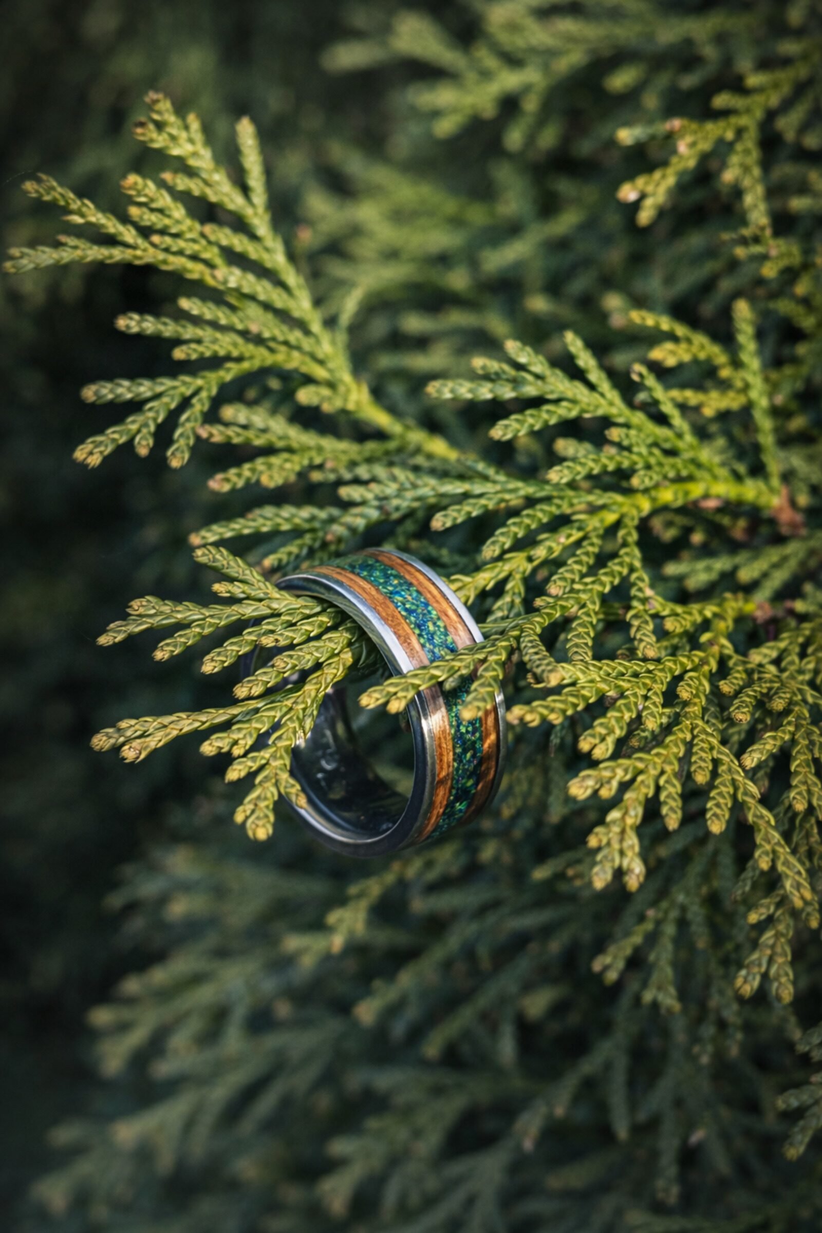 The green titanium ring resting in cedar foliage.