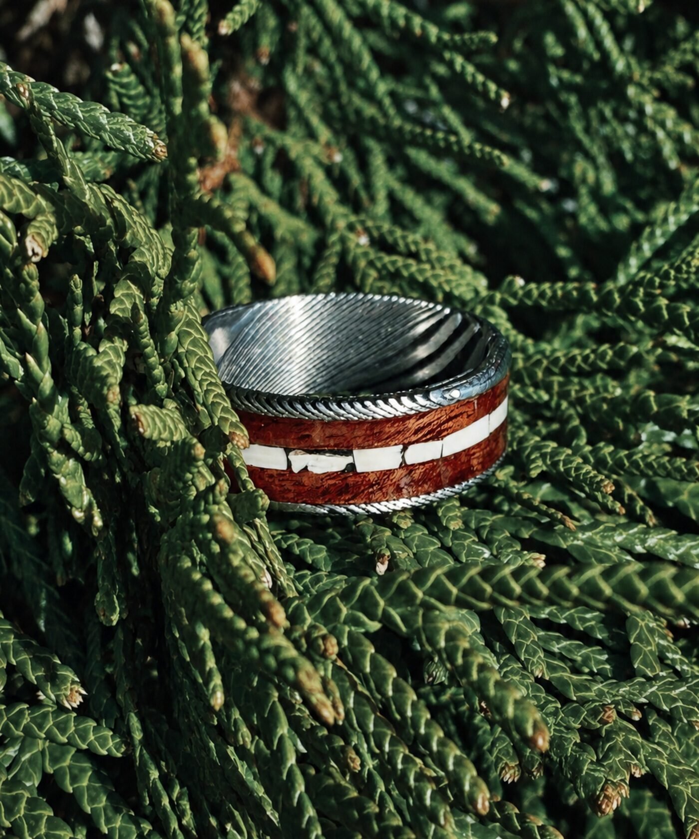 The ring photographed in cedar, the pale tusk pieces visible along the wood channel.